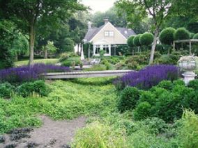 Beplanting