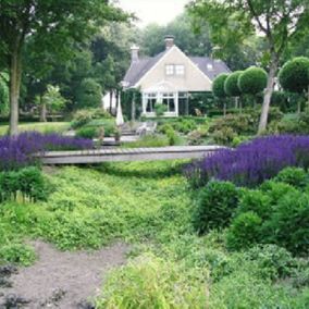 Beplanting