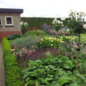 Beplanting