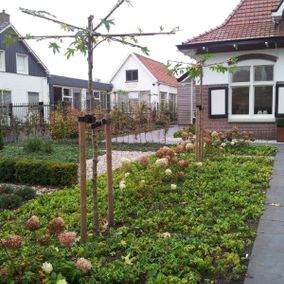 Tuin aanleggen