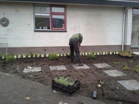 Beplanting