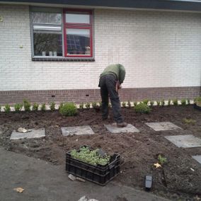 Beplanting