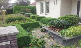 Onderhoud tuin heggen