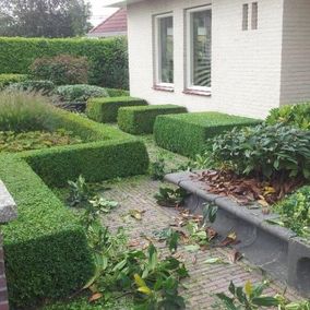 Onderhoud tuin heggen