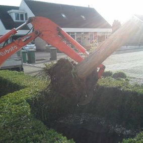 Tuin aanleggen