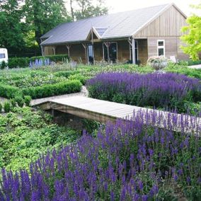 Beplanting