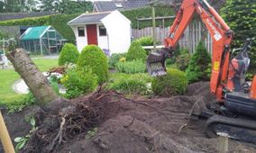 Boomverzorging graven