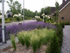 Beplanting