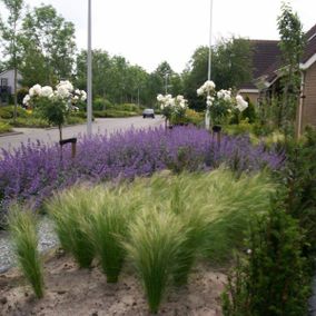 Beplanting